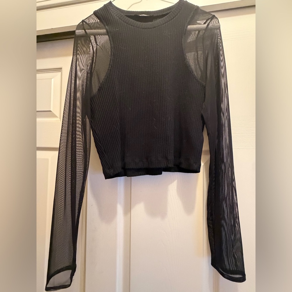 Zara Black Mesh Crop Top
